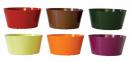 Deep Dish Garden - Assorted Colors